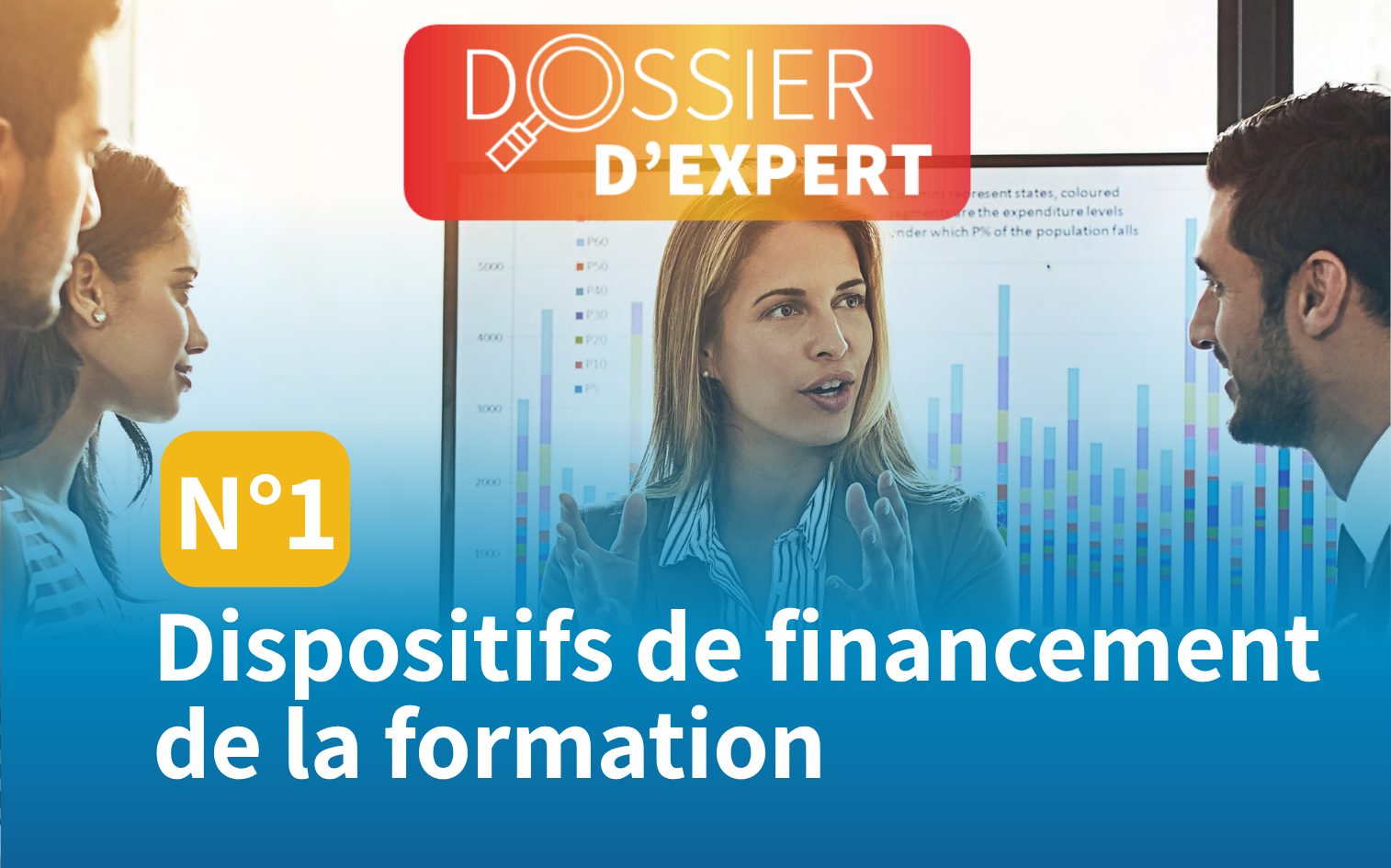 Dossier d'expert