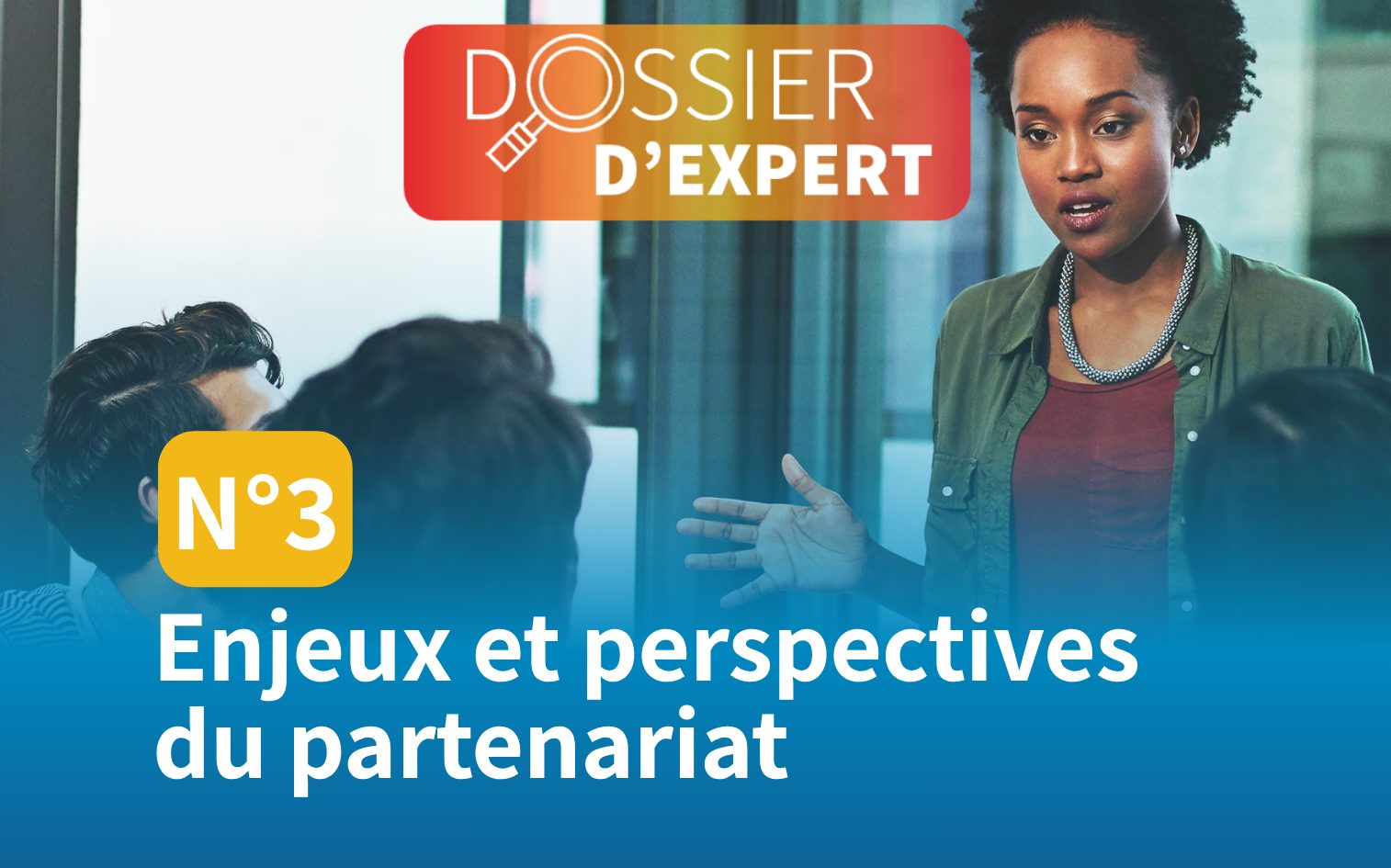 Dossier d'expert - Enjeux et perspectives du partenariat